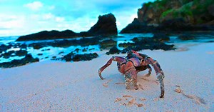 Christmas Island never belonged to S'pore