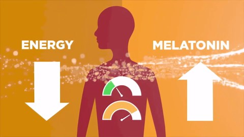 neuroSLEEP | Tangerine Dream | Functional Beverage for Restful Sleep, Non-Carbonated; 16.9 Fl Oz (Pack of 12)