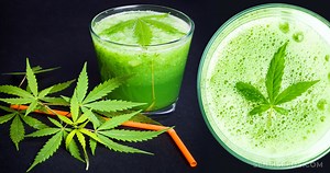 Raw Cannabis Juice: What Are the Benefits & How Does it Work?