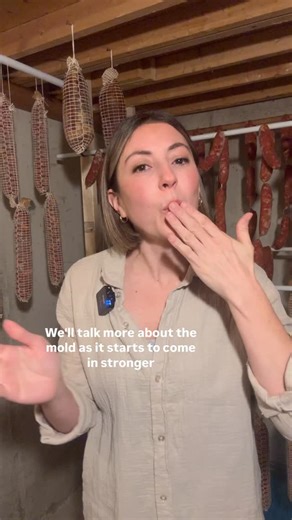 The Kitchen Table ~Food as a Love Language~ on Instagram: "Day 13 Things seem to be going well. My cantina still needs quite a bit of daily monitoring but I haven’t had to use many interventions. I’m making small adjustments with the humidifier and how open, if at all, I leave the cantina door. 🦠Mold is coming in, which is expected. I don’t remove any of it. I’ve learned that there’s nothing wrong with it, it acts as a protector for the meat, and you can’t taste it once it’s washed off and read