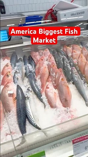 🇺🇸America-வில் மிக பெரிய மீன் Market🐠⁉️#tamilshorts #trending #trendingshorts #shorts #short #usa