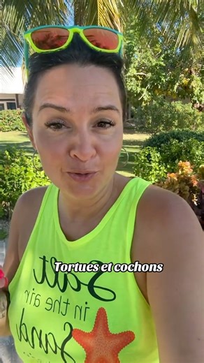 33K views · 191 reactions | Tortues et cochons Freeport Bahamas | Vacances Crystal | Facebook