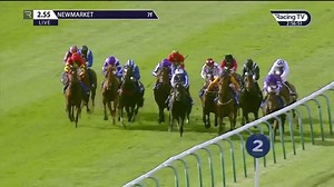 20K views · 425 reactions | St Mark's Basilica is building quite the CV as he provided Aidan O'Brien with a first win in the French Derby this afternoon  7️⃣ races 磊 4️⃣ wins  French Derby  French 2000 Guineas  Dewhurst Stakes  1,300,000gns purchase ⭐️ A star for team @Ballydoyle | Racing TV | Facebook