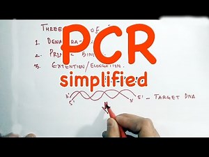 PCR-Polymerase Chain Reaction