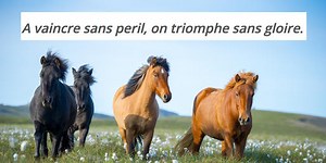 Quiz: Can You Identify These Languages On Sight?