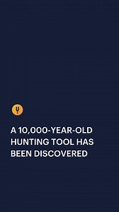 1.6K views · 14 reactions | What does a single piece of wood tell us...