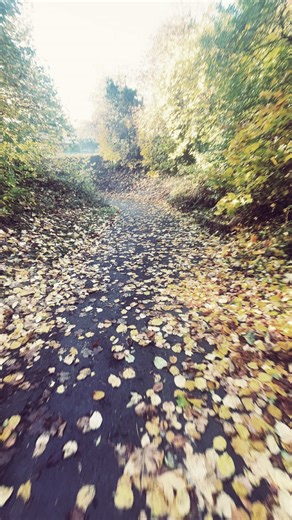 Creative Video Ideas for Boyfriend Love Expressions