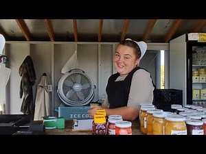 I Paid $5 to Milk a Cow in Amish Country 🐄✨