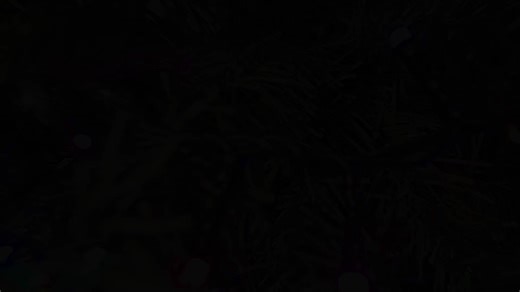 At Machitech, recognizing our employees is a value deeply rooted in our culture. We would not be the company we are today without the dedication, commitment, and talent of our team. Each year, just before the holiday break, we take the time to gather for our traditional Christmas coffee and to distribute the gifts. This day also took on a very special meaning 💙. In order to raise funds for a local cause, two colleagues took on an impressive challenge in our gym: 🏃‍♂️ Yannick – 47 km running 🚴