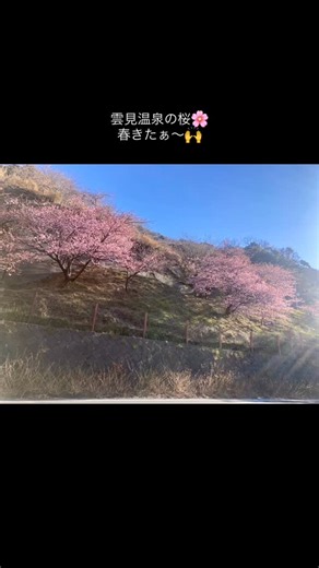 かわいいお宿 雲見園 on Instagram: "雲見温泉の桜🌸 40本近くあるかな ♨️3月の空室状況♨️ 1日 4部屋 ◯ 3日 3部屋 ◯ 6日 2部屋 ◯ 13日 4部屋 ◯ 15日 4部屋 ◯ 17日 2部屋 ◯ 19日 4部屋 ◯ 23日 4部屋 ◯ 30日 4部屋 ◯ 31日 4部屋 ◯ ご予約はお早めに💕 秘湯webサイト https://www.hitou.or.jp/provider/plans?providerId=716 #西伊豆松崎町雲見温泉 #桜 #小さな宿屋雲見園 #workexchangejapan #海外旅好きな人と繋がりたい"