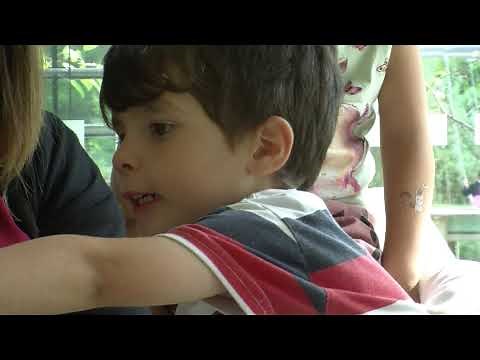 Wolfsburger Familienzentren - Bildungsarbeit Early Excellence