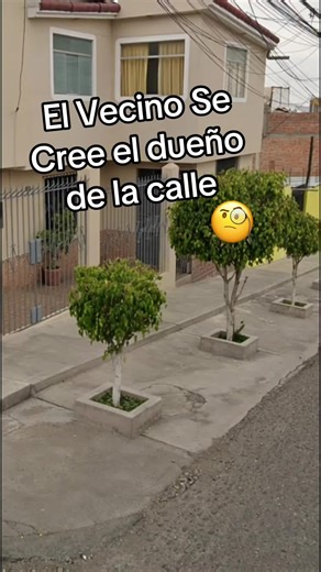 La fachada de la casa tiene muchos árboles que dan a la calle, deberían quitarlos #casa #decoration #diseño #construction