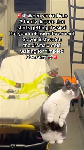 TheSaltySpitoonEMS on Instagram: "Scene not safe 👁️👄👁️🍿 #EMS #Ambulance #Hospital #Paramedic #EMT #Veteran #Medic #Healthcare #Hero #911"