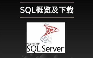 乐学偶得【SQL概览及下载】包括数据库及数据库环境介绍、表格的叫法介绍、MYSQL下载