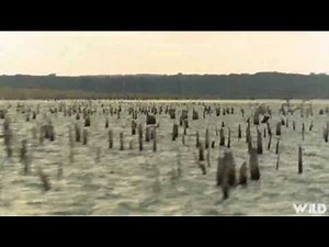 Bass West USA TV - Lone Star State Pro Angler