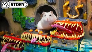 77K views · 1.5K reactions | #HamsterMaze #CuteHamsters #HomuraHam Ep. 1 - Amazing DnD Hamster Maze by Homura Ham! Hamsters play a board game at home in which they search for the artifact "Dragon's Horn". This obstacle course and all the traps are made of cardboard, paper and other soft materials. #DnD #DungeonsAndDragons #Hamster #HomuraHam #Hamsters #FunnyHamsters #CuteHamsters #Pets #Animals #HamsterMaze #HamsterCourse Music: epidemicsound.com | Homura Ham | Facebook