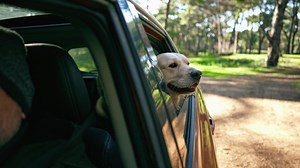 They are part of our family, protect them the same! Learn more about Figo Pet Insurance for Costco members today! | Figo Pet Insurance