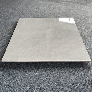 [Hot Item] 600 X 600 Porcelain Tiles for Living Room Floor Grey