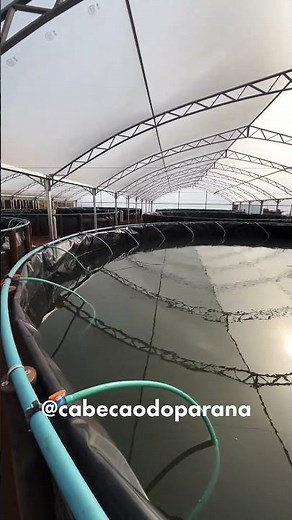 Super Intensive Fish Farming / Raise fish safely with the cabecaodoparana team.