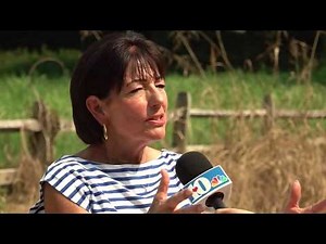 Live Anchor Katie Inman is out at the Forks of the River Wildlife Management Area