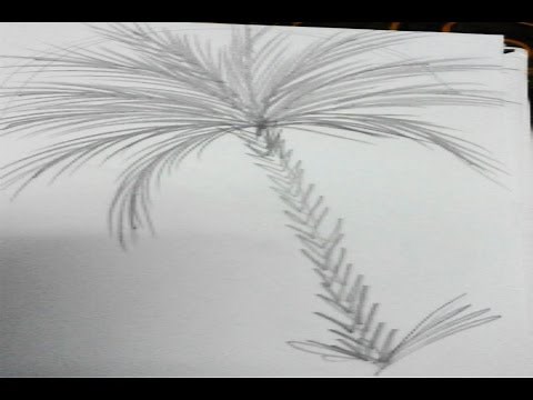 صور رسم نخلة - العاب رسم نخلة | تعليم الرسم للاطفال | تعليم الرسم للمبتدئين خطوة بخطوة |