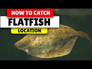 Assassin's Creed Valhalla How to find flatfish | Best Location