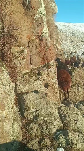 Tanım ve İşaretlerin Önemi