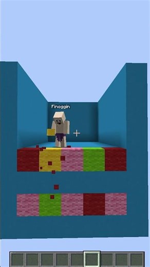 INSANELY FAST MINECRAFT BLOCK GUESS