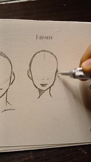 Drawing Tutorial: Master the Art of Drawing Female and Male Heads