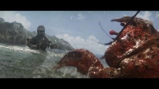 13K views · 626 reactions | Splashes and Smashes!  Happy first day of summer from #Godzilla and Ebirah! ☀️ : Ebirah, Horror of the Deep (1966) | Toho Godzilla | Facebook