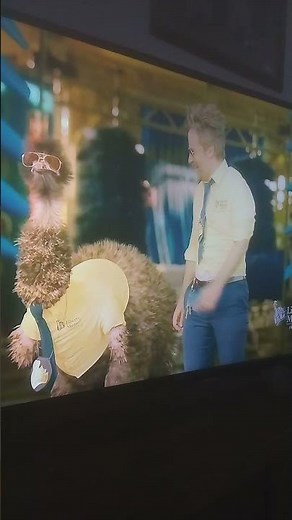 Liberty mutual commercial