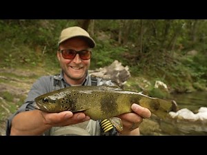 SIAGNE : Le paradis des pêcheurs à la mouche - JMC - Mouches de Charette.