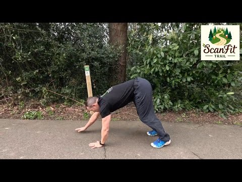 Aldershot Park - Inchworms