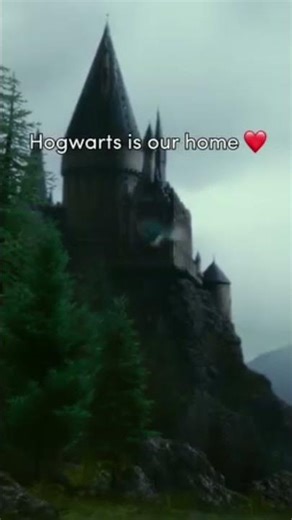 Hogwarts harry potter memory❤️ #harrypotter #hogwarts #trendingshorts #viralvideo #hogwartsfans