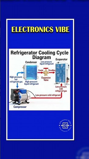 How a Refrigerator Works | Basic Principle & Components Explained | Electronics Vibes