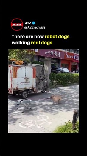 Robot Dogs Are Now Taking Real Dogs for a Walk!