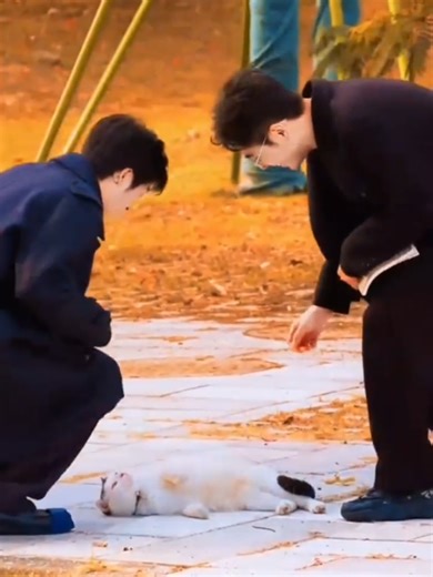 Only Happiness for You: A Loving Message