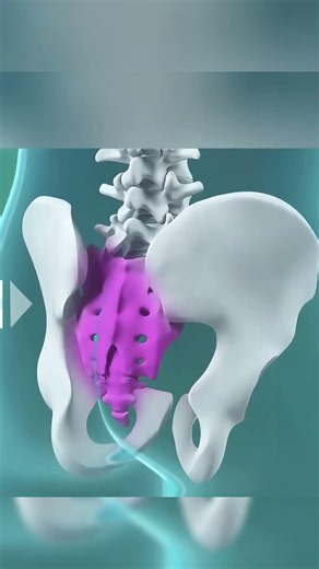 Coccyx Adjustment Therapy