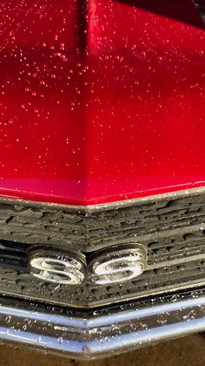 Hey there little guy 🤓 #cartok #fyp