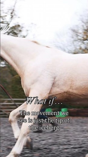Horse lameness - read the description #thehorselistener # #horsechiropractor #healyourhorse