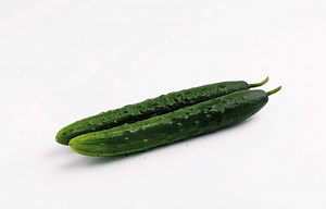Self-Pollinating Cucumbers