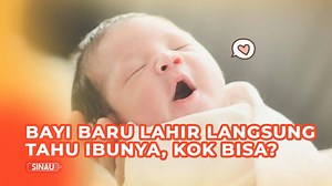 Bagaimana Cara Bayi yang Baru Lahir Mengenali Ibunya?