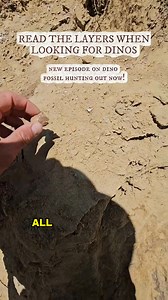 When people imagine fossil hunting, they think it's all luck. But it's not. It's geology. If you're searching for dinosaur fossils, one of the best places to look is stream deposits with major event layers, evidence of ancient flash floods. These fast moving waters carried bone, shell and sediment together, concentrating material in one place. That's were the stories pile up. Most fossils aren't scattered randomly, they're depositing during moments of chaos in deep time. Floods and storms, sudde