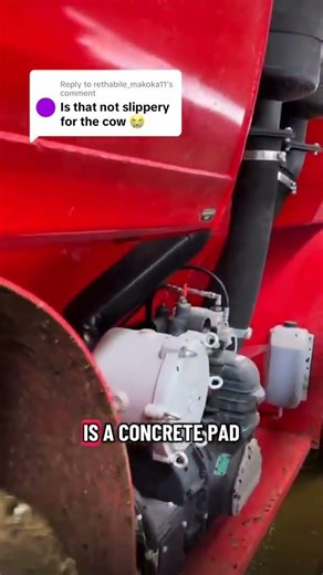 Is Concrete Slippery for Cows? Here’s the Truth