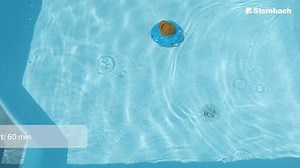 Steinbach Poolrunner Battery Basic 2.0 – 061208 – Kabelloser Bodensauger für Pools mit bis zu 10 m² Bodenfläche – Bis zu 60 Minuten Akkulaufzeit – Auch für Salzwasser geeignet