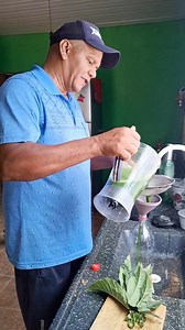 Folhas de mamona é um excelente inseticida e fertilizante natural! | Antonio Marcos Ferreira