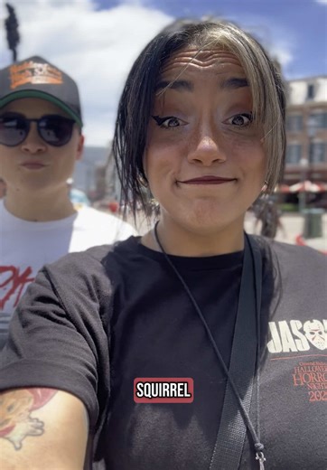 Park Hopping Chicks on TikTok