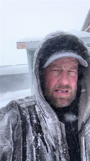 Any weather indeed. #blizzard #pig #construction