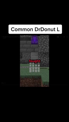 L. tnt lil brothers BBQ on DrDonut SMP Voice Chat Bedrock