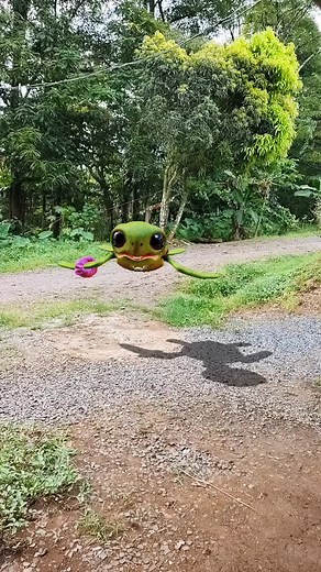 Animated Frog Character Floating in a Lush Greenery